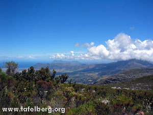 Blick nach Osten