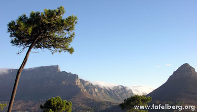 Tafelberg und die Zwölf Apostel vom Signal Hill aus gesehen